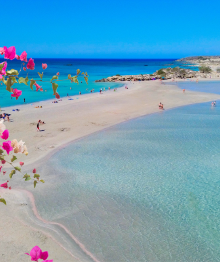 Blick auf eine weite, helle Sandbank mit rosa schimmerndem Saum zwischen türkisblauem, klarem Wasser. 