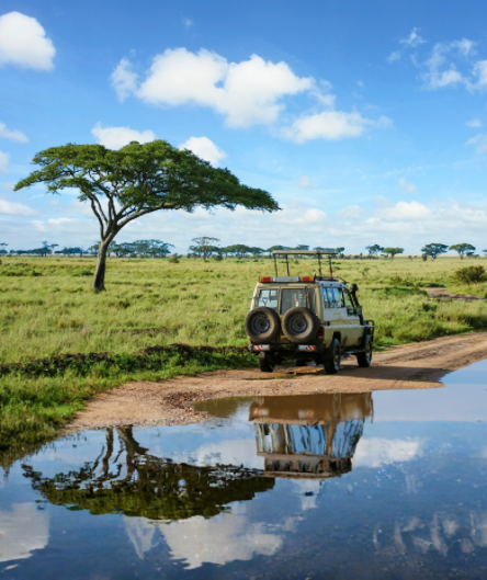 Ein Safari-Fahrzeug steht auf einem Feldweg in der afrikanischen Savanne.