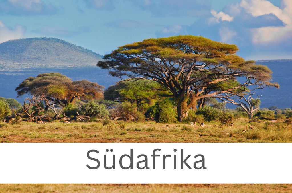 Eine Savannenlandschaft mit ausladenden Schirmakazien und Hügeln im Hintergrund. Auf weißem Grund steht der Text 